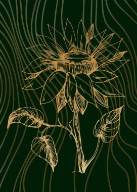 Soyut Ayçiçeği El Boyalı Duvar Dekorasyonu için Çizim Stili Minimalist çiçek seti. Kartpostal, Sosyal Medya Sancağı, Broşür Kapağı Tasarım Arkaplanı. Modern Soyut Resim.