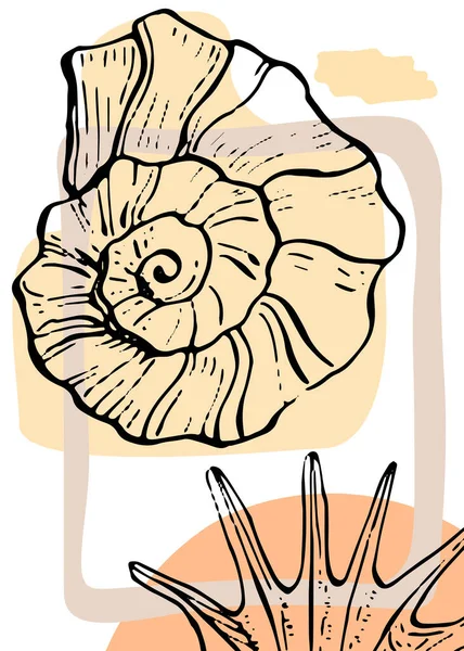 Set Abstrakter Muscheln Handgemalte Illustrationen Für Wanddekoration Minimalistische Muschel Skizzenstil — Stockvektor