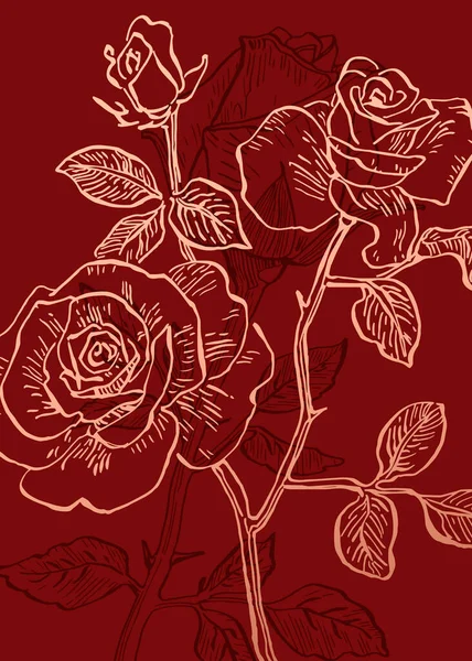 Sada Abstraktních Růží Ručně Malované Ilustrace Pro Dekoraci Stěn Minimalistický — Stockový vektor