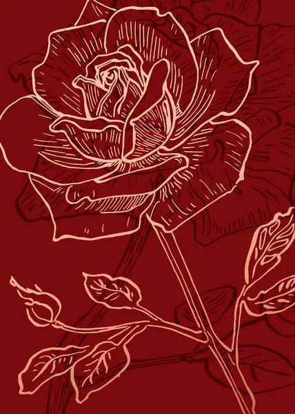 抽象的なバラのセット手描き壁の装飾のためのイラスト スケッチスタイルでミニマリストの花 郵便はがき ソーシャルメディアバナー パンフレットカバーデザインの背景 近代抽象絵画 — ストックベクタ