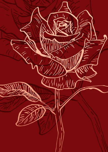 Conjunto Rosas Abstratas Ilustrações Pintadas Mão Para Decoração Parede Flor — Vetor de Stock