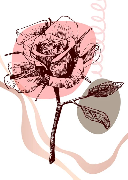 Ensemble Roses Abstraites Peintes Main Illustrations Pour Décoration Murale Fleur — Image vectorielle
