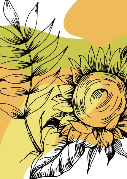 Set Absztrakt Napraforgó Kézzel Festett Illusztrációk Faldekoráció Minimalista Virág Vázlatos — Stock Vector