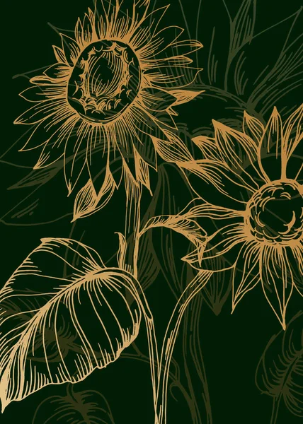 Set Absztrakt Napraforgó Kézzel Festett Illusztrációk Faldekoráció Minimalista Virág Vázlatos — Stock Vector