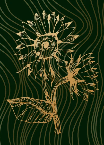 Σύνολο Αφηρημένη Sunflower Χέρι Ζωγραφισμένα Εικονογραφήσεις Για Διακόσμηση Στον Τοίχο — Διανυσματικό Αρχείο