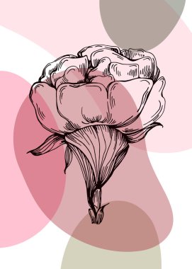 Duvar Dekorasyonu için El Boyalı Resimler, skeç tarzında minimalist çiçekler. Kartpostal, Sosyal Medya Sancağı, Broşür Kapağı Tasarım Arkaplanı. Modern Soyut Resim.