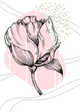 Duvar Dekorasyonu için El Boyalı Resimler, skeç tarzında minimalist çiçekler. Kartpostal, Sosyal Medya Sancağı, Broşür Kapağı Tasarım Arkaplanı. Modern Soyut Resim.