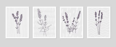 Soyut Lavanta El Boyalı Duvar Dekorasyonu için İllüstrasyonlar, skeç tarzında minimalist çiçek. Kartpostal, Sosyal Medya Sancağı, Broşür Kapağı Tasarım Arkaplanı. Modern Soyut Resim.