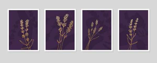 Zestaw Abstrakcyjnych Lawendowych Ręcznie Malowanych Ilustracji Dekoracji Ściennych Minimalistyczny Kwiat — Wektor stockowy