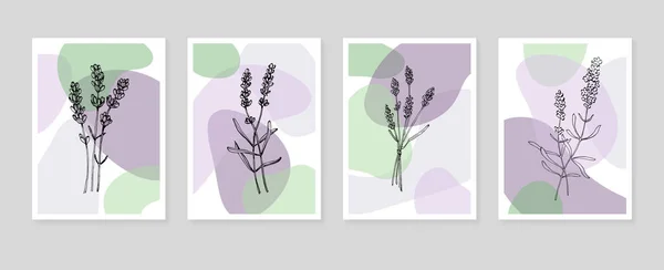 Set Van Abstracte Lavendel Hand Geschilderde Illustraties Voor Wanddecoratie Minimalistische — Stockvector