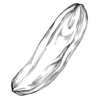 Keçiboynuzu çizimi çizimi. Keçiboynuzu ağacı doğası oymalı bir tasvir. Detaylı bitki ürünü. Tasarım logosu, menü, etiket, simge, pul için en iyisi.