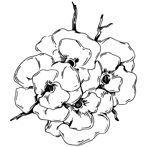 Vektör Sakura Yaz Mevsimi Zole Botanik Çiçeği Yapraklar Siyah Beyaz — Stok Vektör