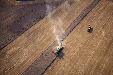 Tarım makineleri tarlada buğday hasat ediyor. Yukarıdan hava görüntüsü. Hasat makinesinin etrafında çok fazla toz var..
