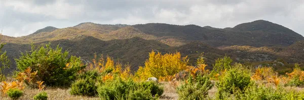阿尔巴尼亚的秋天 五彩缤纷的秋天森林景观 — 图库照片