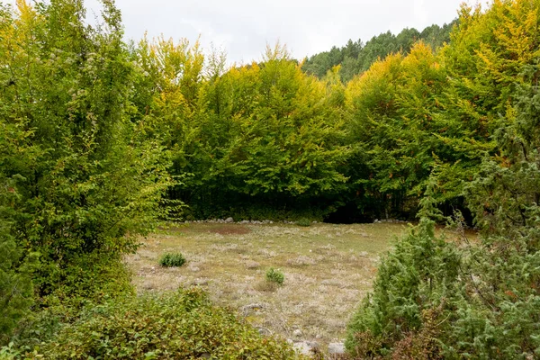 Осенний Сезон Албании Цветные Осенние Леса — стоковое фото
