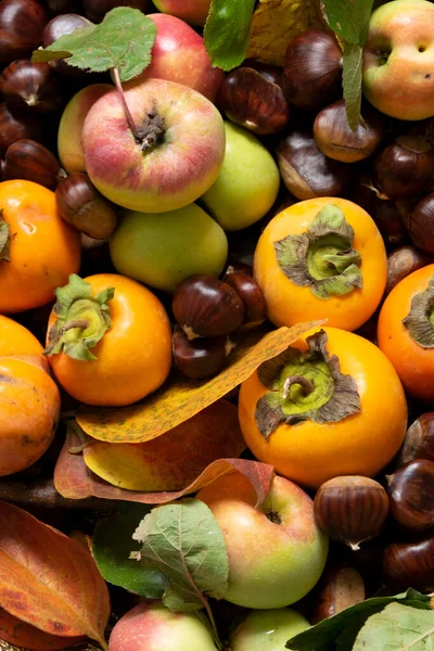 Blízko Podzimního Ovoce Čerstvá Syrová Jablka Kaki Kaštany Koncepce Zdravé — Stock fotografie