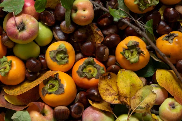 Blízko Podzimního Ovoce Čerstvá Syrová Jablka Kaki Kaštany Koncepce Zdravé — Stock fotografie