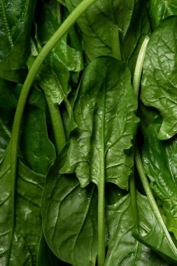 Ispanak yapraklarının arkasını kapatın, sağlıklı besin maddeleri.