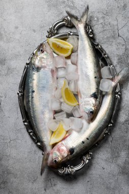 Gümüş tabakta pişmemiş taze deniz balıkları.