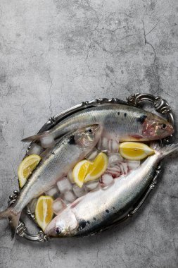 Gümüş tabakta pişmemiş taze deniz balıkları.