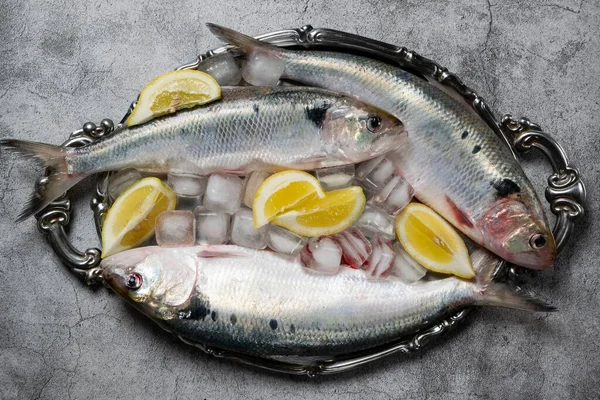 Gümüş tabakta pişmemiş taze deniz balıkları.