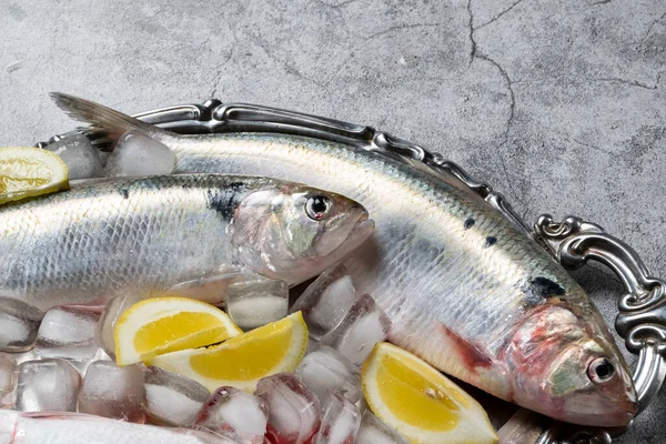 Niegotowane Świeże Ryby Morskie Srebrnym Talerzu — Zdjęcie stockowe