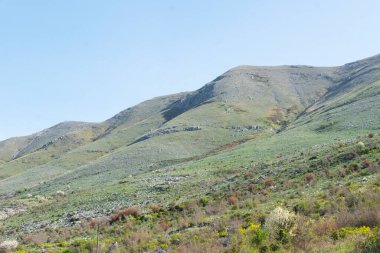 Vahşi doğa manzarası, manzaralı kır manzarası