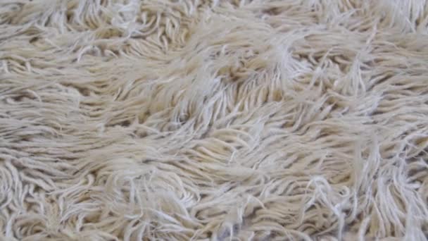 Közelkép Gyapjú Textil Puha Bolyhos Szőnyeg — Stock videók