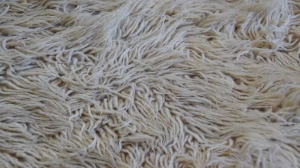 Close Woolen Textile Soft Fluffy Carpet — Stock Video