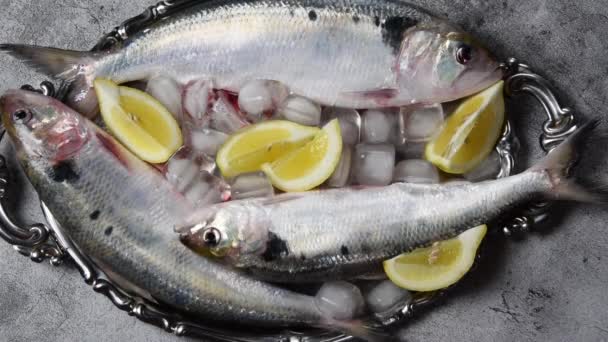 銀板の上で調理されていない新鮮な海魚 — ストック動画