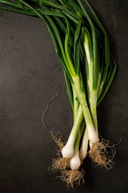 Arka planda taze soğan. Hasat, tarım konsepti, sağlıklı organik malzemeler.