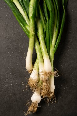 Arka planda taze soğan. Hasat, tarım konsepti, sağlıklı organik malzemeler.