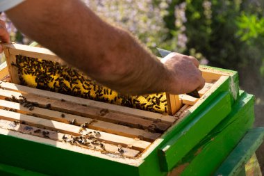Apiculture, Arılarla çalışmak, tarım faaliyetleri