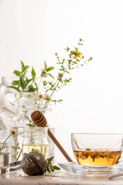 Botanik bitki çayı, sağlıklı içecek, organik malzemeler.