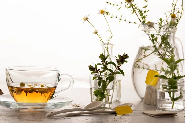 Ботанический Травяной Чай Полезные Напитки Органические Ингредиенты — стоковое фото