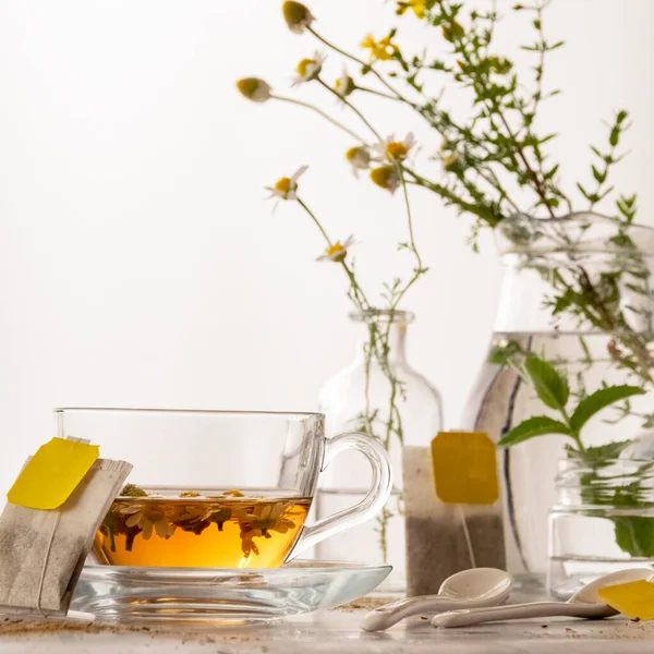 Ботанический Травяной Чай Полезные Напитки Органические Ингредиенты — стоковое фото