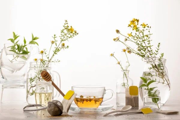 Chá Botânico Base Plantas Bebidas Saudáveis Ingredientes Orgânicos Imagens Royalty-Free