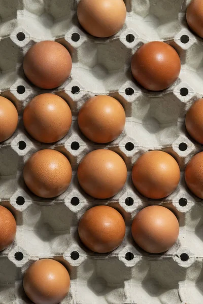 Червоні Курячі Яйця Коробці Органічні Харчові Інгредієнти — стокове фото