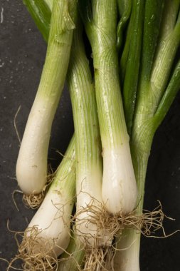 Arka planda taze soğan. Hasat, tarım konsepti, sağlıklı organik malzemeler.