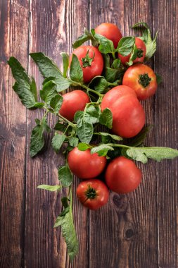 Taze toplanmış domatesler, taşra çiftlik yemekleri, organik malzemeler.
