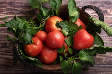Taze toplanmış domatesler, taşra çiftlik yemekleri, organik malzemeler.