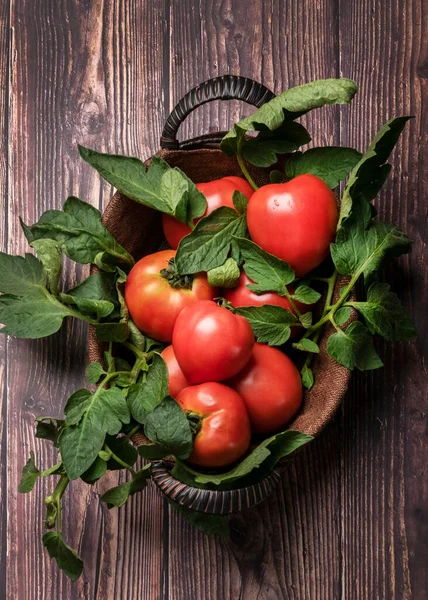 Taze toplanmış domatesler, taşra çiftlik yemekleri, organik malzemeler.