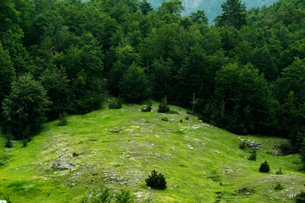 Arnavutluk Doğasının Manzarası Alpin Çevre Arkaplanı Seyahat Kavramı — Stok fotoğraf