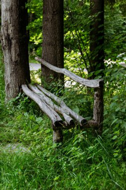 Bulgaristan 'daki Rila dağının Idyllic orman manzarası