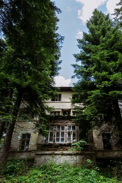 Maison Abandonnée Dans Forêt — Photo