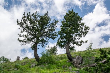 Arnavutluk 'un doğasının manzarası. Alpin çevre arkaplanı, seyahat kavramı