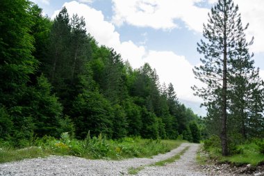 Arnavutluk 'un doğasının manzarası. Alpin çevre arkaplanı, seyahat kavramı