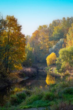 Sonbahar manzarası, nehrin üzerindeki renkli ağaçlar, güzel, resimli bir arka plan. Doğal boyalar. Güzel manzara. Dikey çerçeve