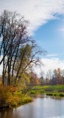Sonbahar sonlarının manzarası. Nehir kıyısında çıplak ve renkli ağaçlar, muhteşem bir arka plan. Doğal boyalar. Güzel manzara. Dikey çerçeve