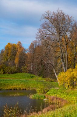 Sonbahar sonlarının manzarası. Gölün kıyısında çıplak ve renkli ağaçlar, çok güzel bir arka plan. Doğal boyalar. Güzel manzara. Dikey çerçeve